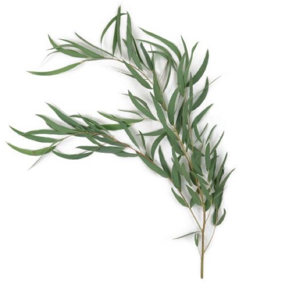 🌷✨ - Picture 1 of 2